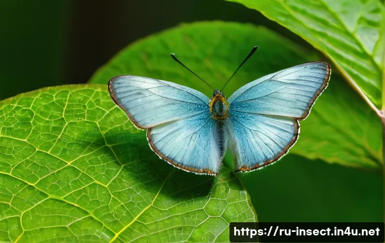 곤충 성장 단계 - A detailed close-up of a butterfly laying eggs on vibrant green leaves of a native Russian forest pl...