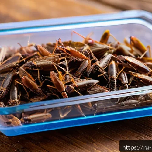 곤충 식용 제품 브랜드 - A close-up, highly detailed image of edible crickets presented in a transparent, sealed package with...